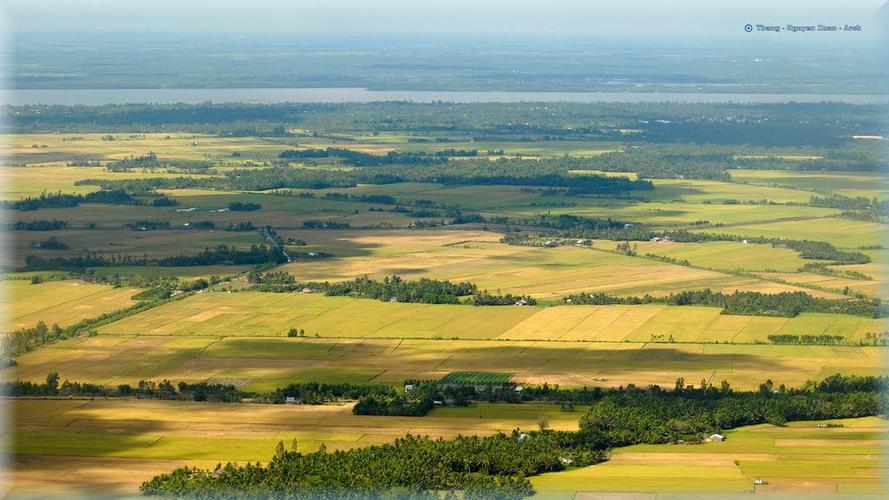 Trần Thị Ngọc Hân Cây Thông Noen ấm áp Tại Cơ Sở A Ueh HÂn TrẦn ThỊ NgỌc